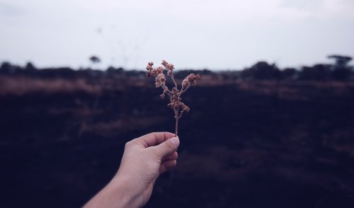 科学认证：你意想不到的生活习惯，能逆转老化-成都治疗抑郁的医院[棕南]